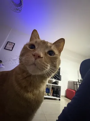 Avatar de florenciatamara