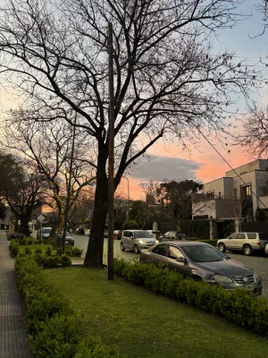 Avatar de catalina88