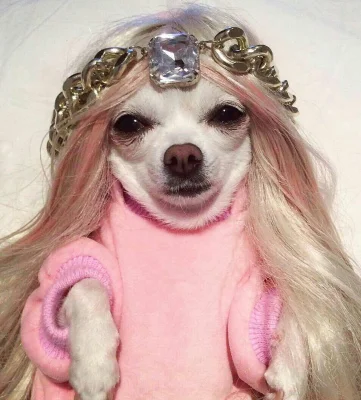 Avatar de lalyshowroom