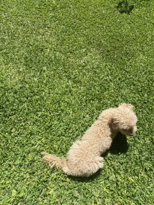 Avatar de josjos_closet