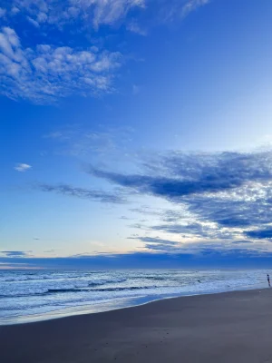 Avatar de mariadelrosario