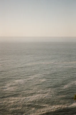 Avatar de antonellacriado