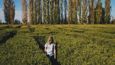 Avatar de tamarindoh