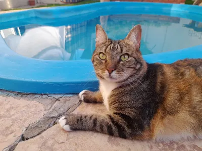 Avatar de sialindaindumentaria