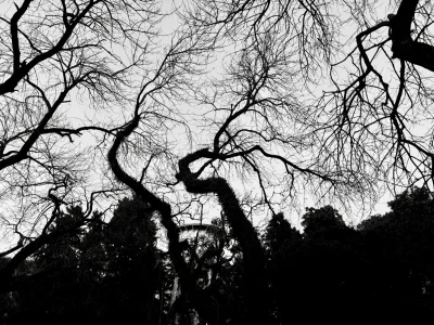 Avatar de isabellagiammarini