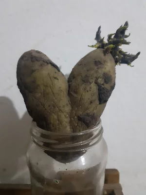 Avatar de mariananaty