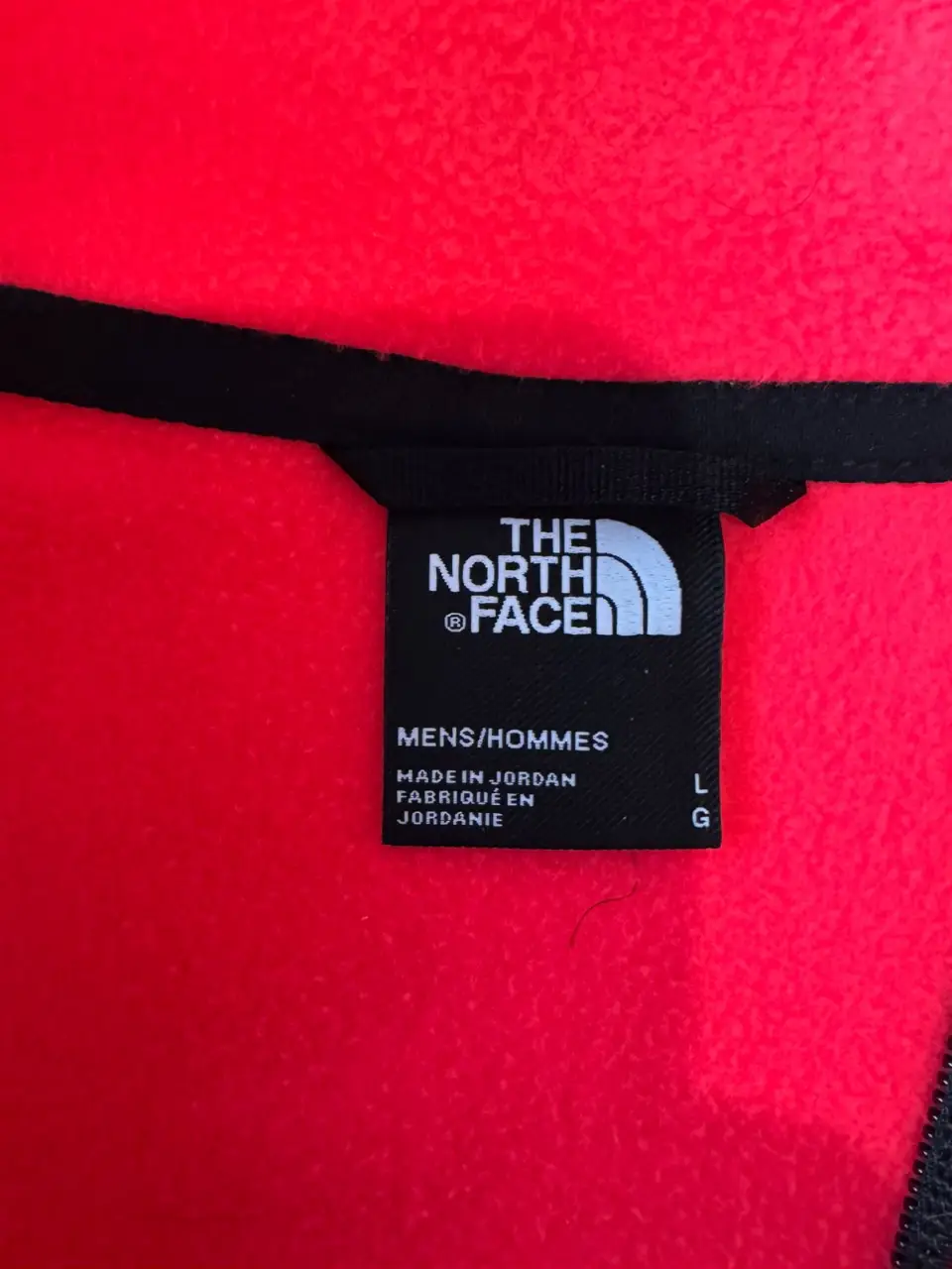 Buzo The North Face - Vista 4