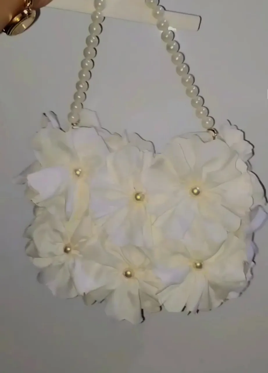 Cartera Importardo - Vista 2