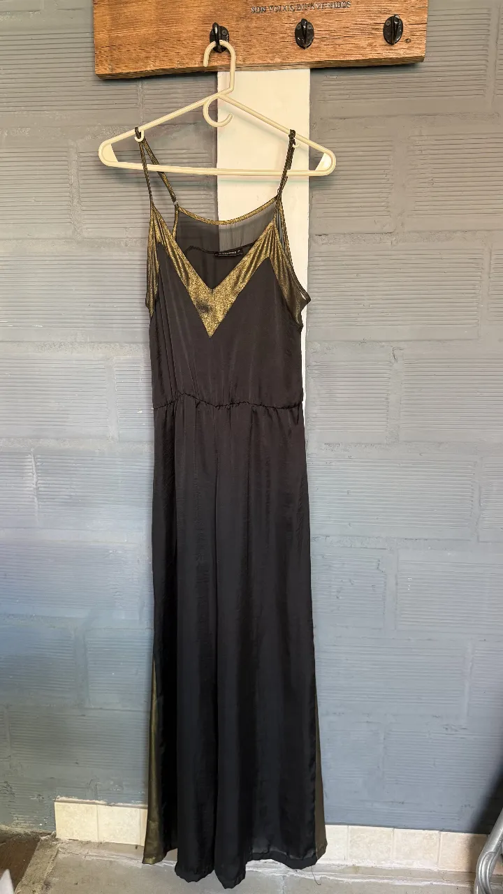 Mono Salsipuedes - Vista 2