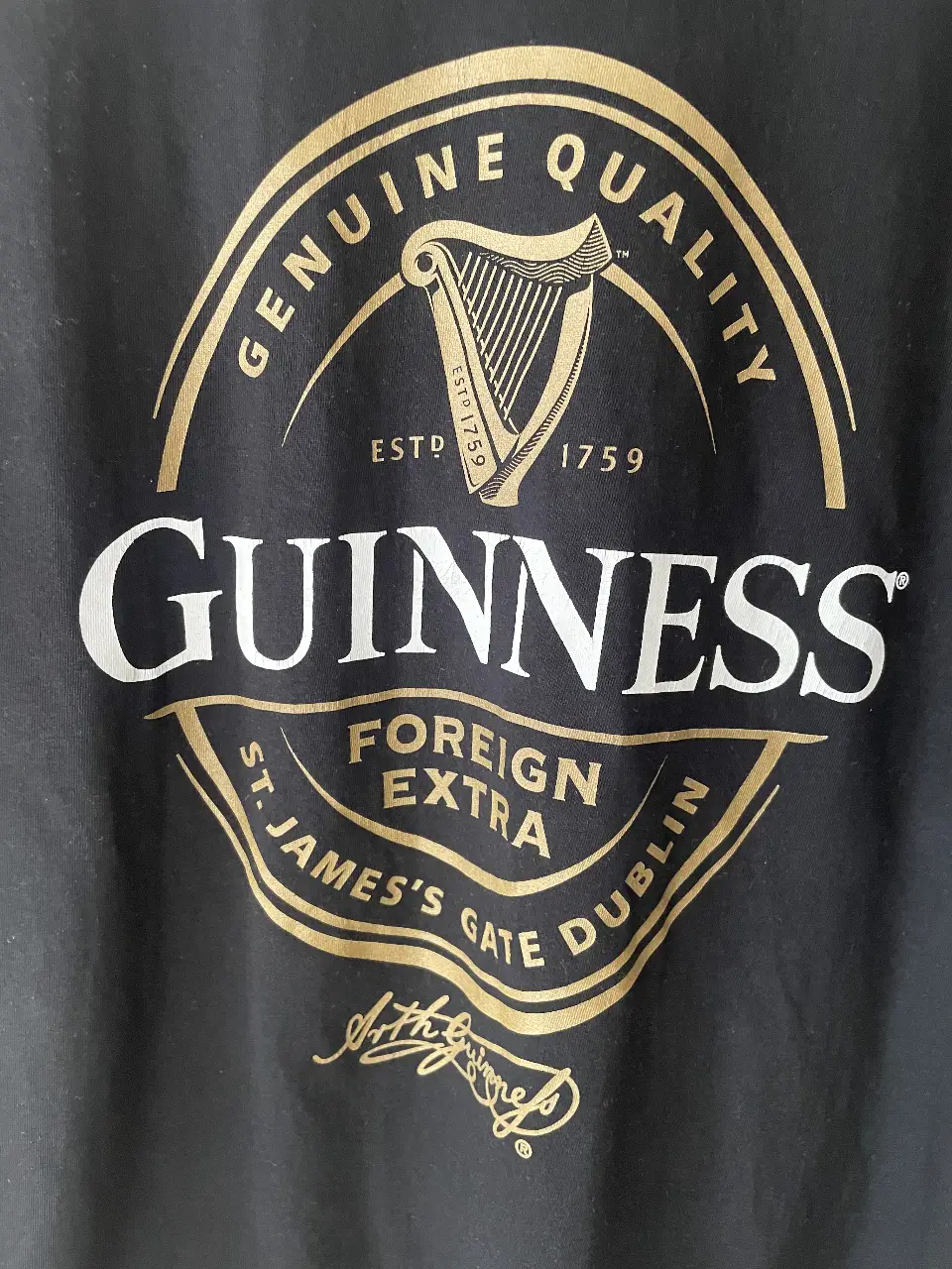Remera Guinness - Vista 2