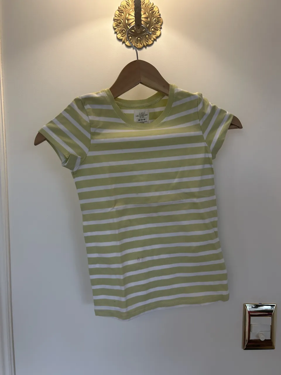 Remera a rayas verdes y blancas, manga corta y cuello redondo.