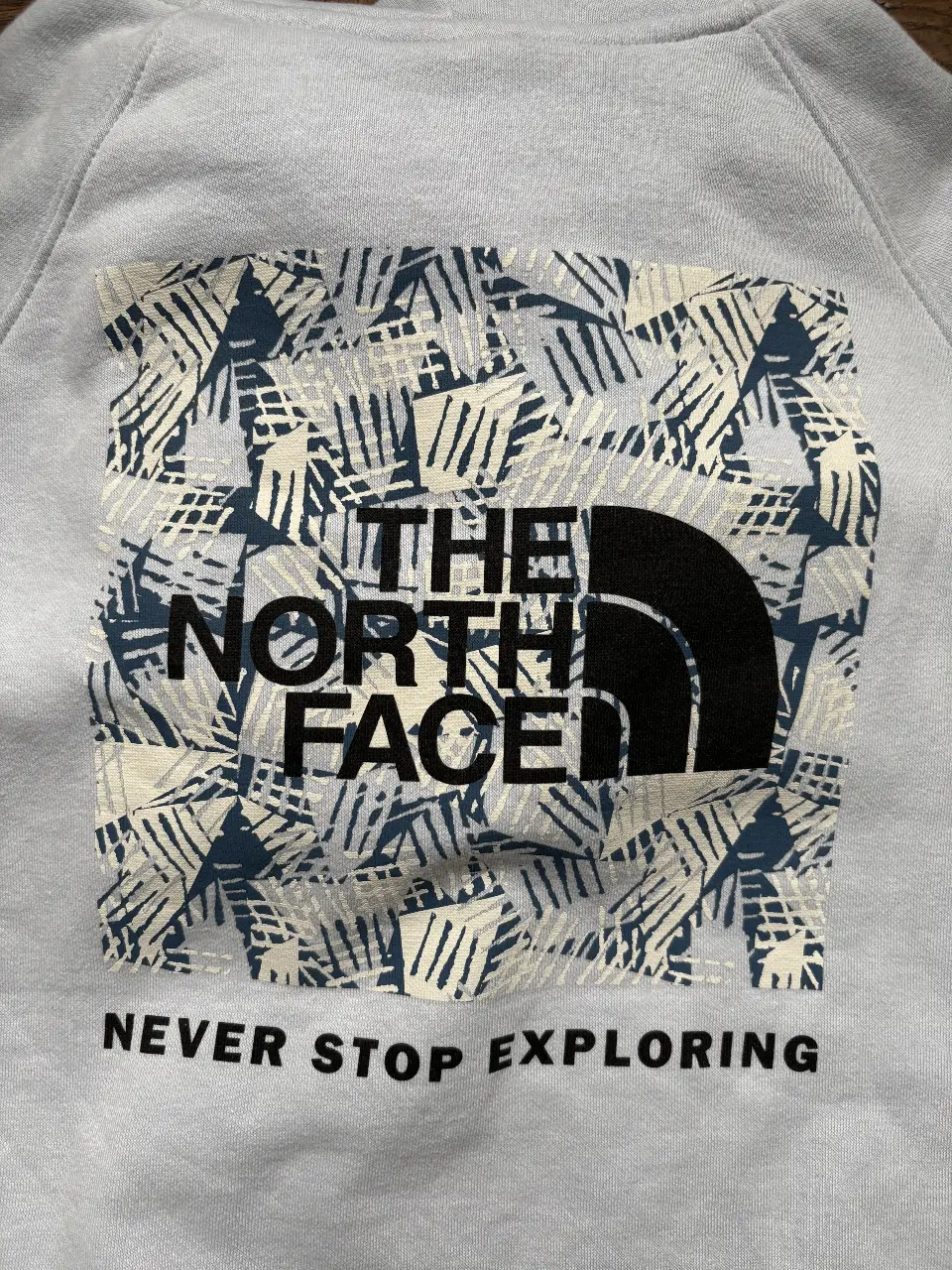 Buzo The North Face - Vista 2