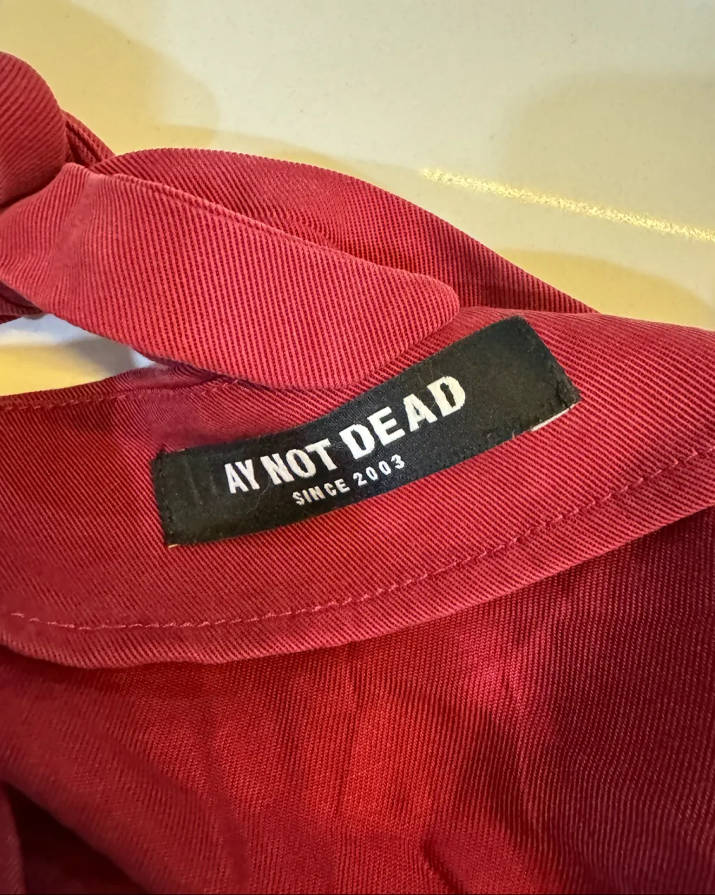 Top Ay Not Dead - Vista 3