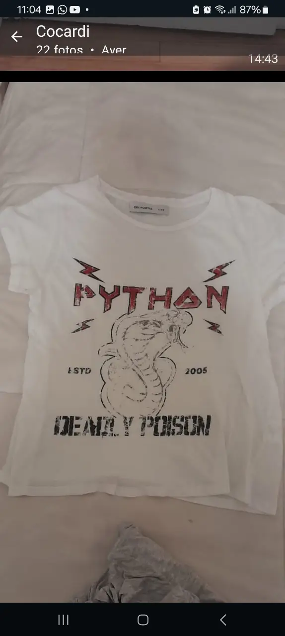 Remera blanca con estampado "PYTHON DEADLY POISON" en negro y rojo. Estilo rocker y vintage, ideal para un look casual y con onda.