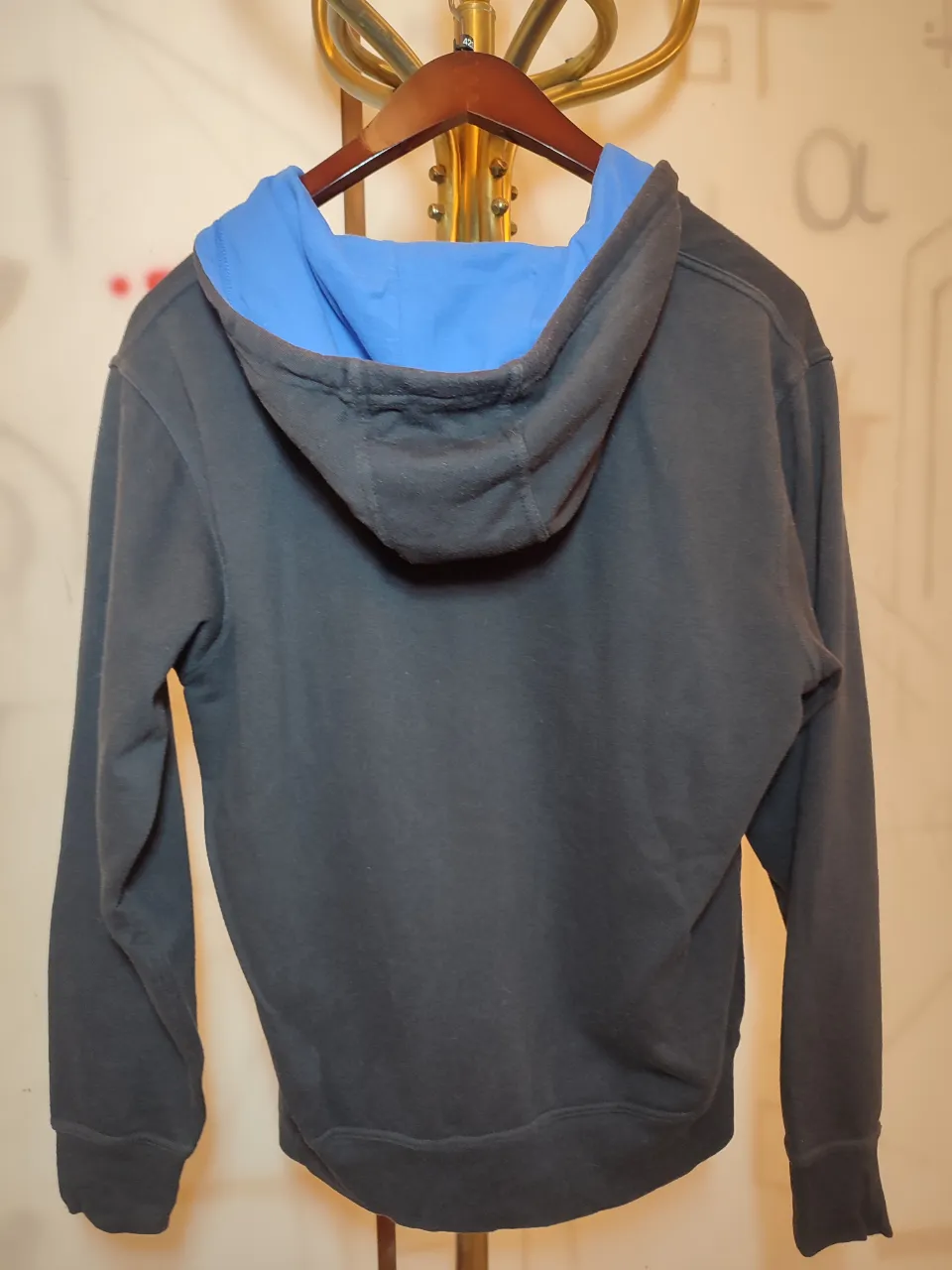 Buzo The North Face - Vista 2