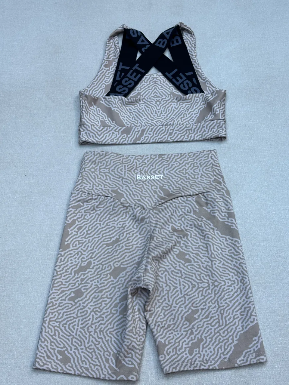 Top Basset - Vista 2