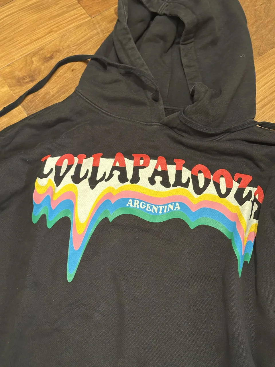 Buzo Lollapalooza - Vista 2