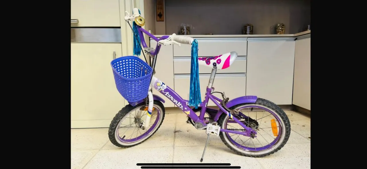 Bicicleta infantil de color violeta con canasto azul y detalles en blanco y rosa. Ideal para niñas.
