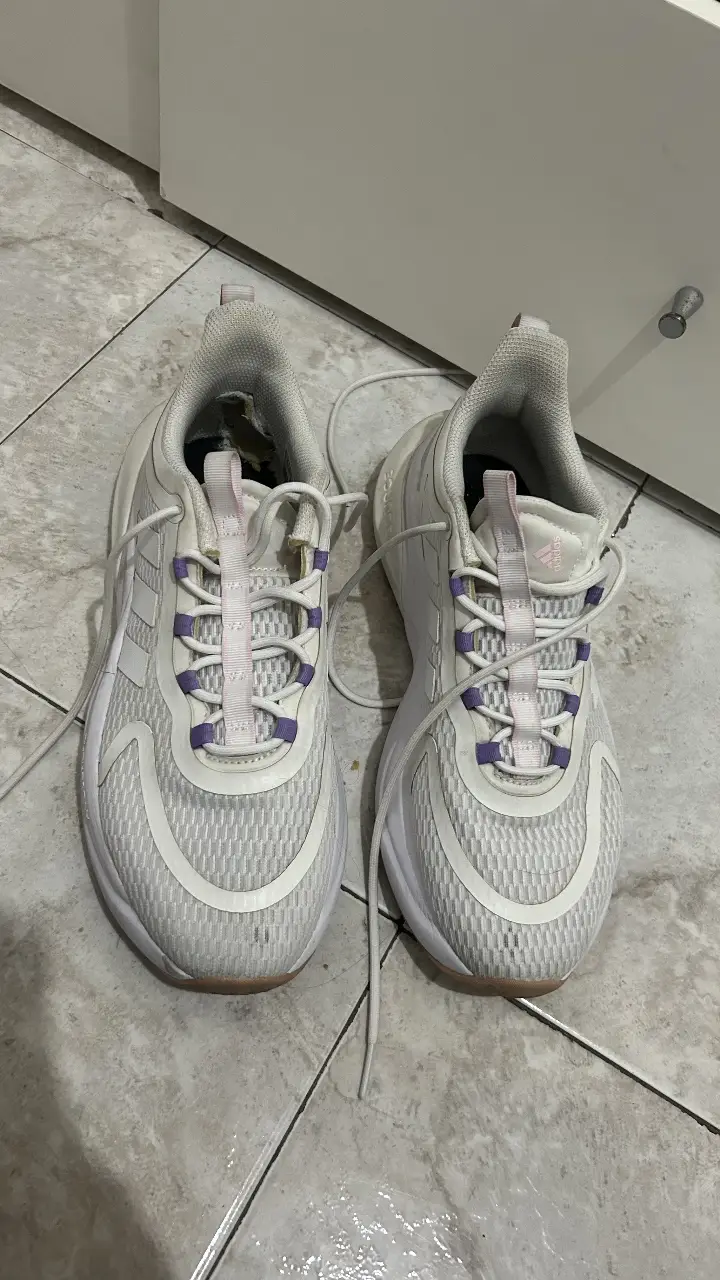 zapatillas adidas alphabounce. usadas en buen estado. talle 39,5 horma amplia (pueden ir para 40). 26cm plantilla. tienen desgastado la parte de adentro en el talón, por eso el precio. de afuera no se ve 