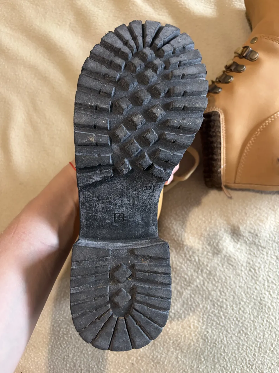 Borcegos Ky west - Vista 4