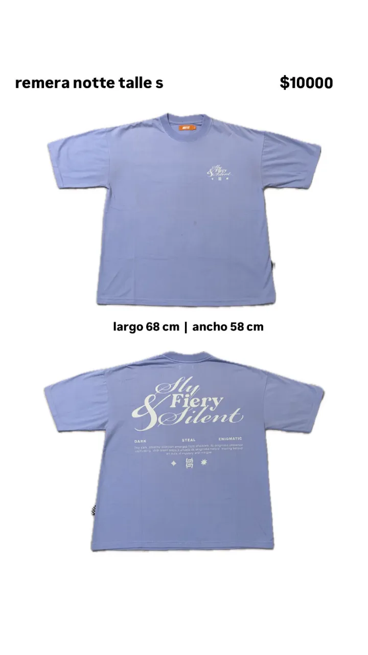 Remera Notte talle S, de color celeste. Con estampa en el frente y espalda. Largo 68 cm, ancho 58 cm.