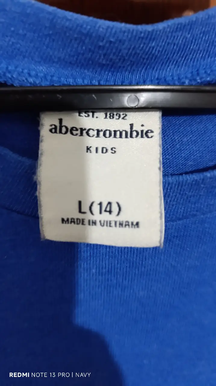 Remera Abercrombie & Fitch - Vista 2
