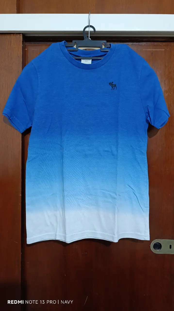 Remera Abercrombie & Fitch para adolescente, manga corta, con diseño degradado en tonos azules y blanco. Talle L (14). Ideal para un look casual y fresco.