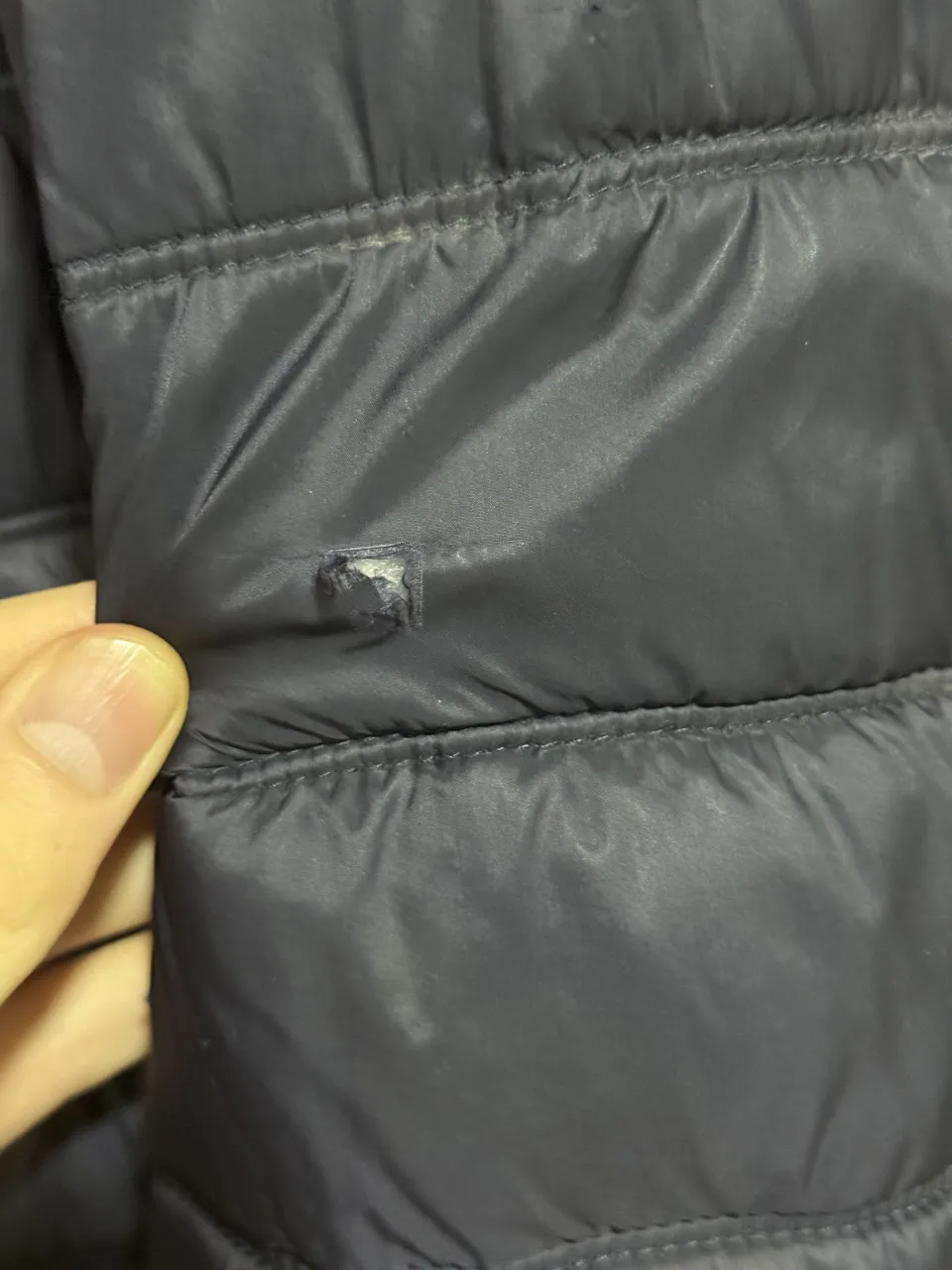 Campera Celio - Vista 4