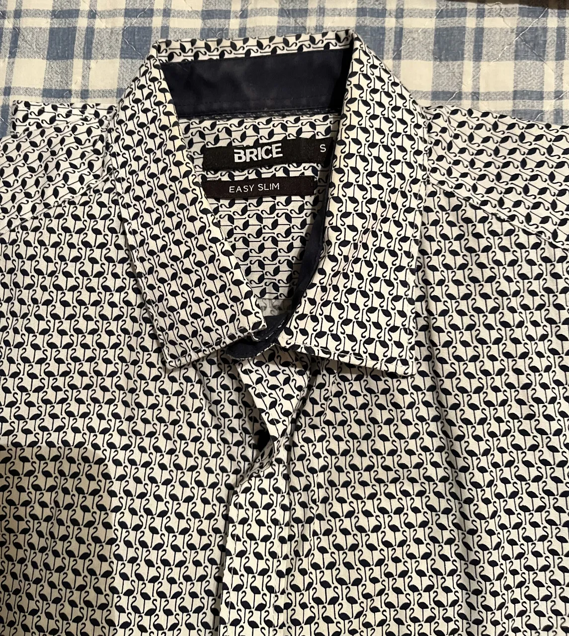 Camisa Brice - Vista 2