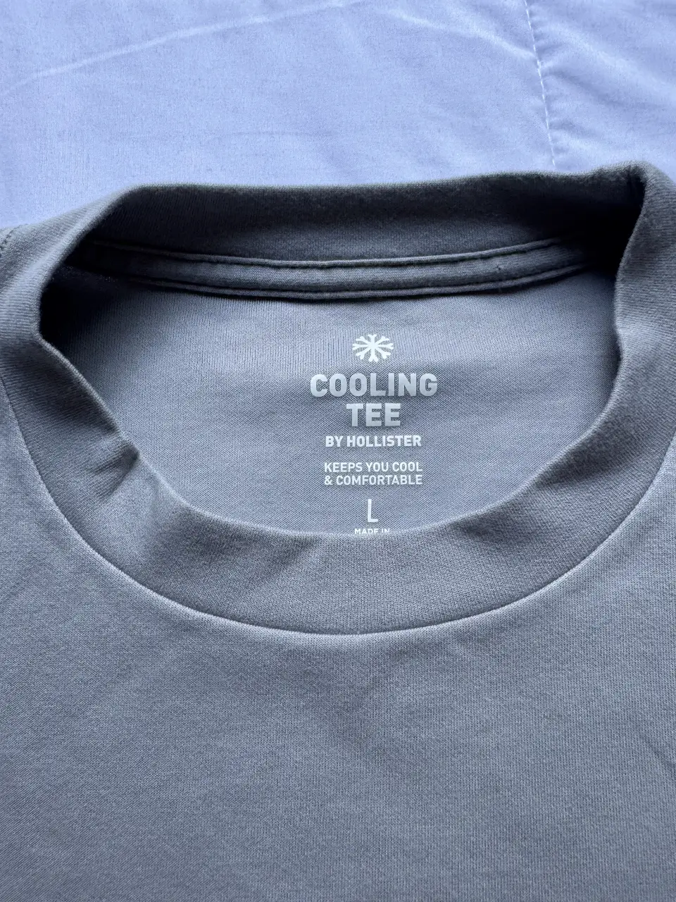 Remera Hollister - Vista 2