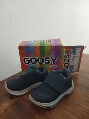 Goosy