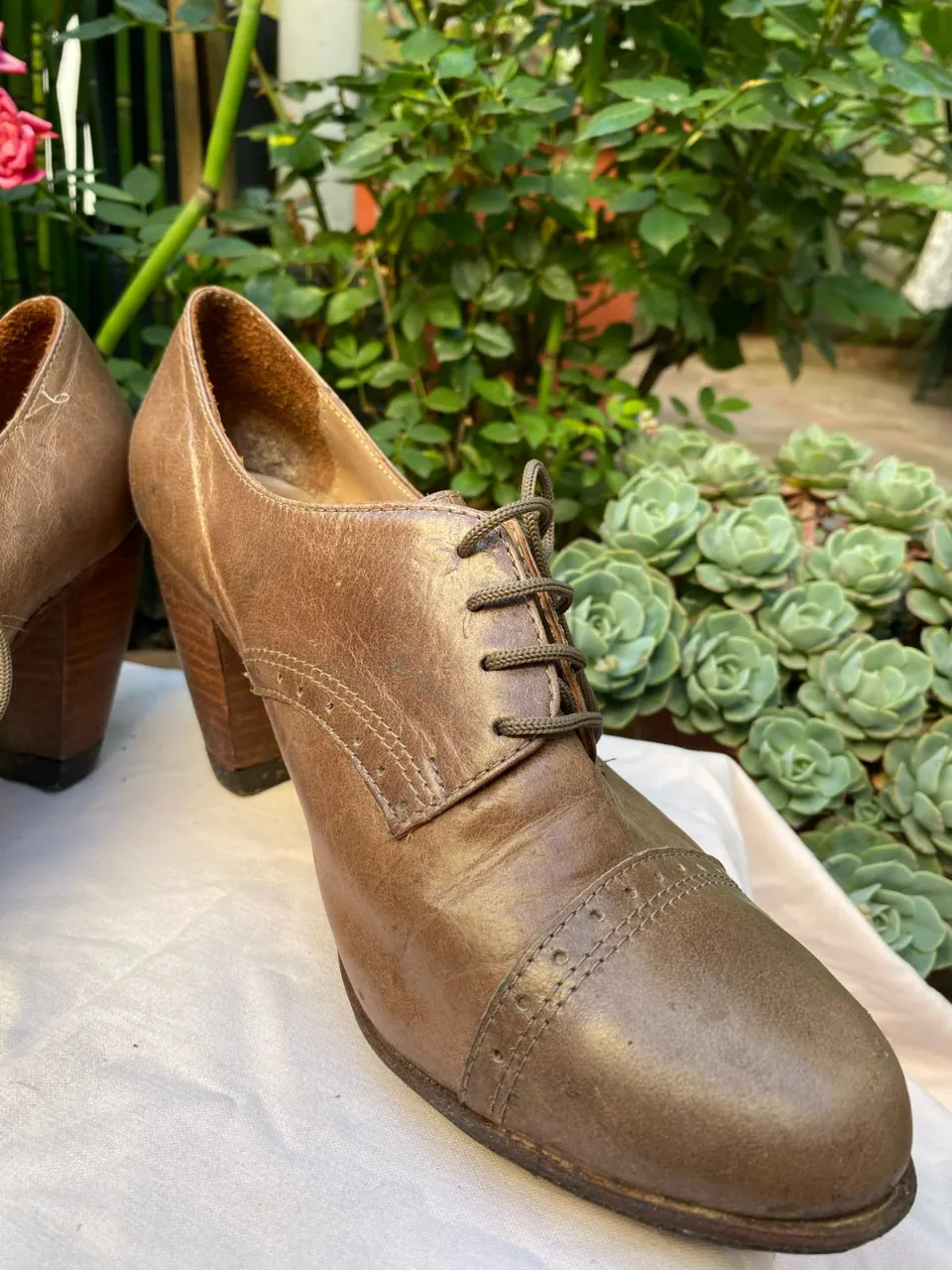 Botines de cuero marrón con taco alto y cordones. Estilo vintage, ideales para un look elegante y sofisticado. es nro 39 pero de Horma angosta. marca es ASH