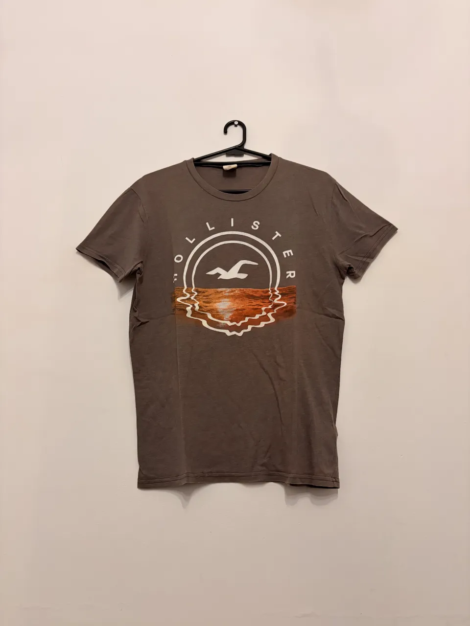 Remera Hollister manga corta gris con estampa de ave y atardecer en el frente. Ideal para un look casual y relajado.