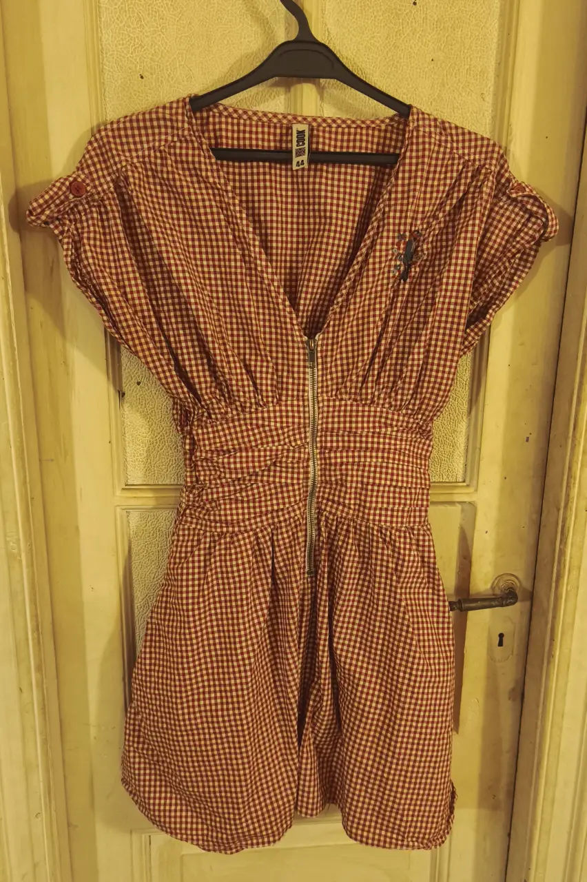 Vestido mini a cuadros rojos y blancos con cierre frontal y detalle fruncido en la cintura. Mangas cortas con botón y detalle de bordado.