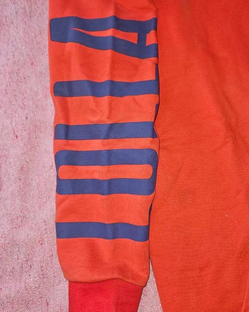 Buzo Lollapalooza - Vista 2