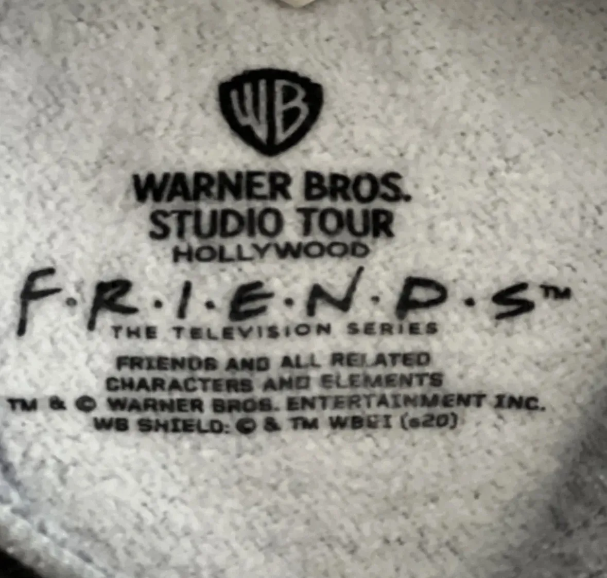 Buzo Warner Bros. - Vista 4