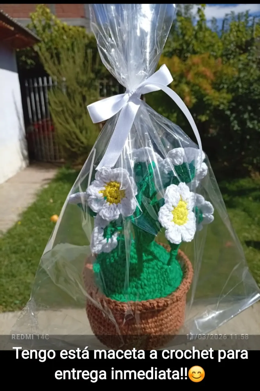 Maceta tejida a crochet con flores blancas y centro amarillo. Presentada en una cesta tejida y envuelta en celofán con moño blanco.