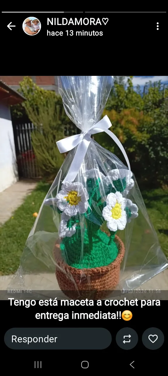 Abanico A ≠ - Vista 2