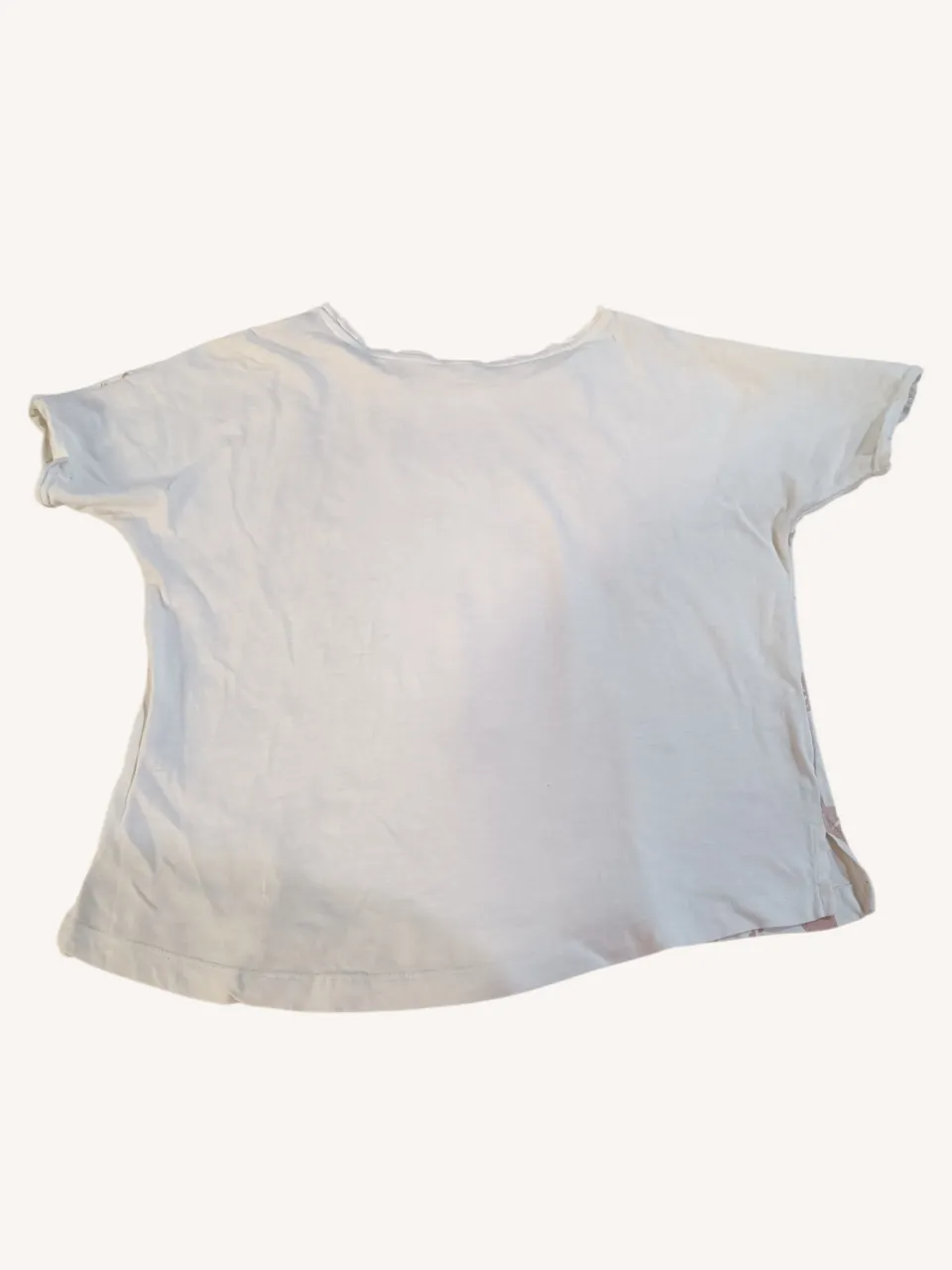 Remera Bh indian - Vista 2