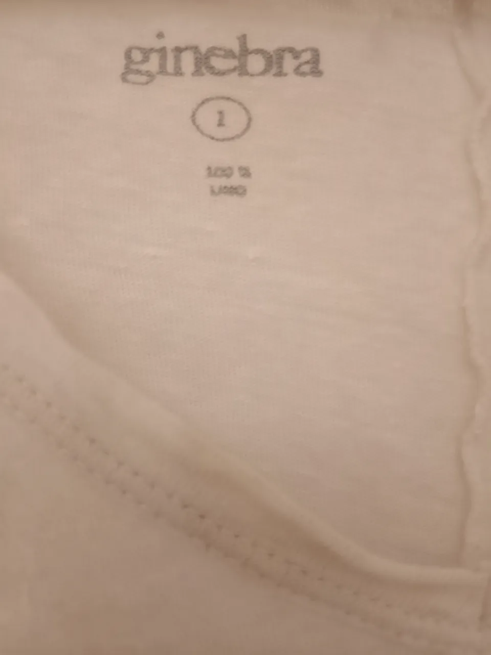 Remera Ginebra - Vista 5