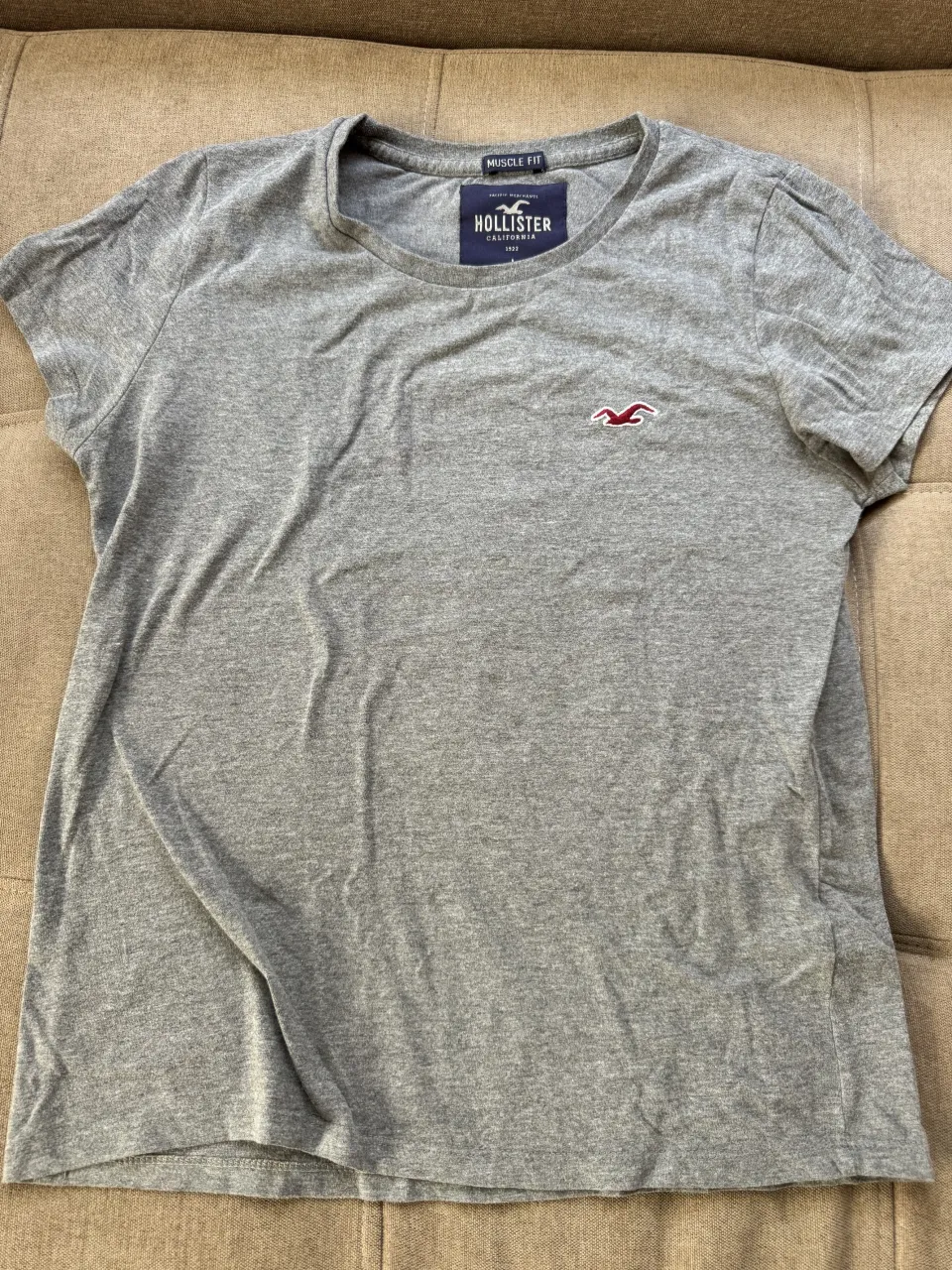 Remera gris de manga corta con logo de Hollister bordado en el pecho.