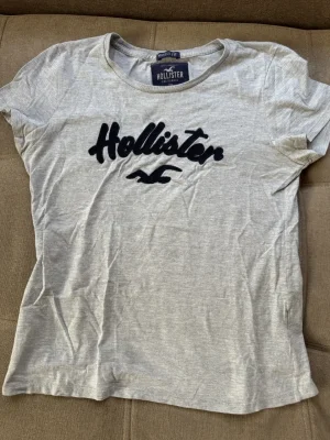 Hollister