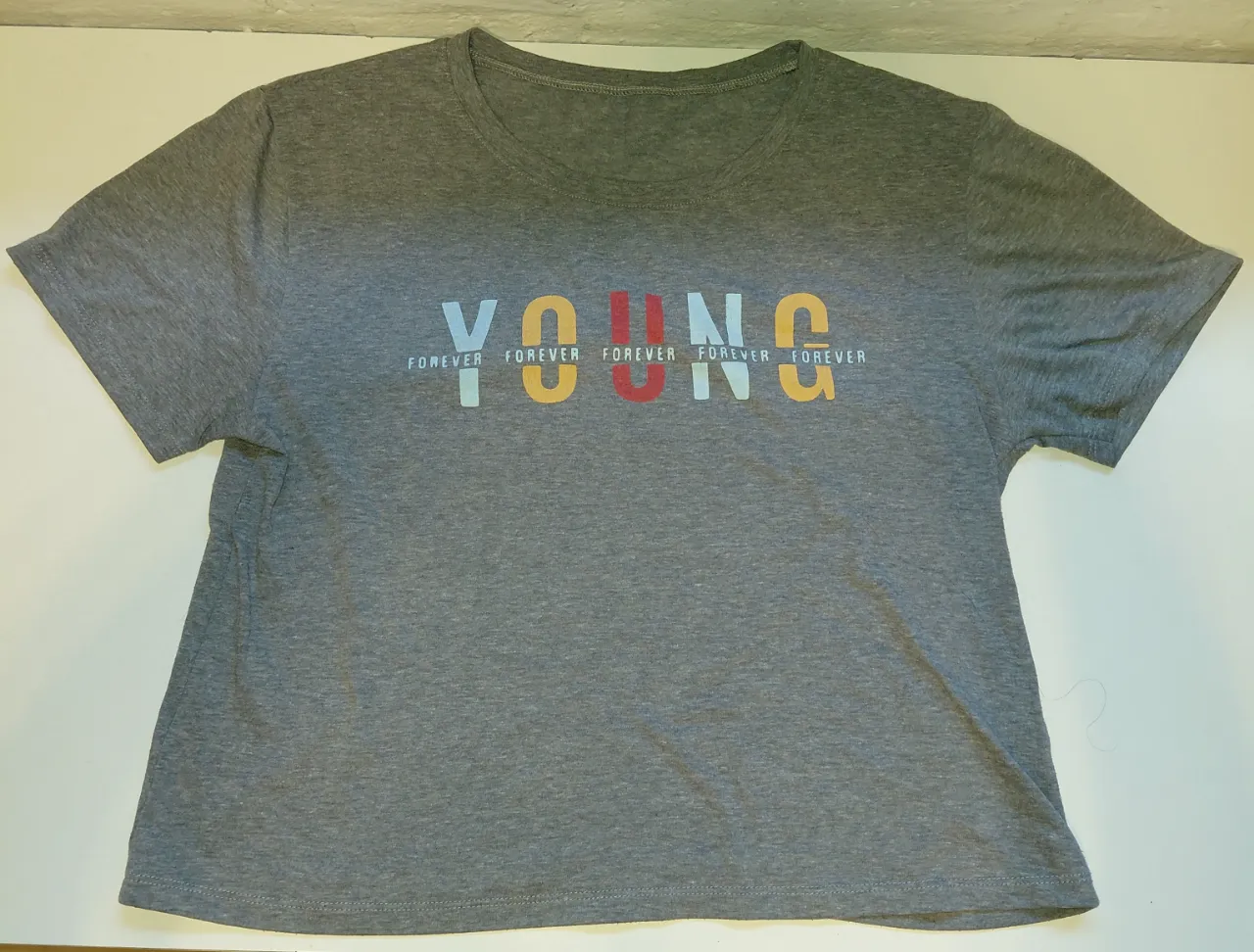 Remera gris con estampa "YOUNG" en el frente. La estampa tiene letras de diferentes colores y la palabra "FOREVER" repetida debajo.