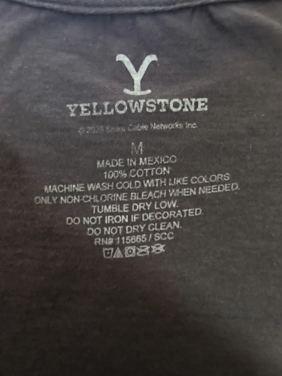 Remera Yellowstone - Vista 4