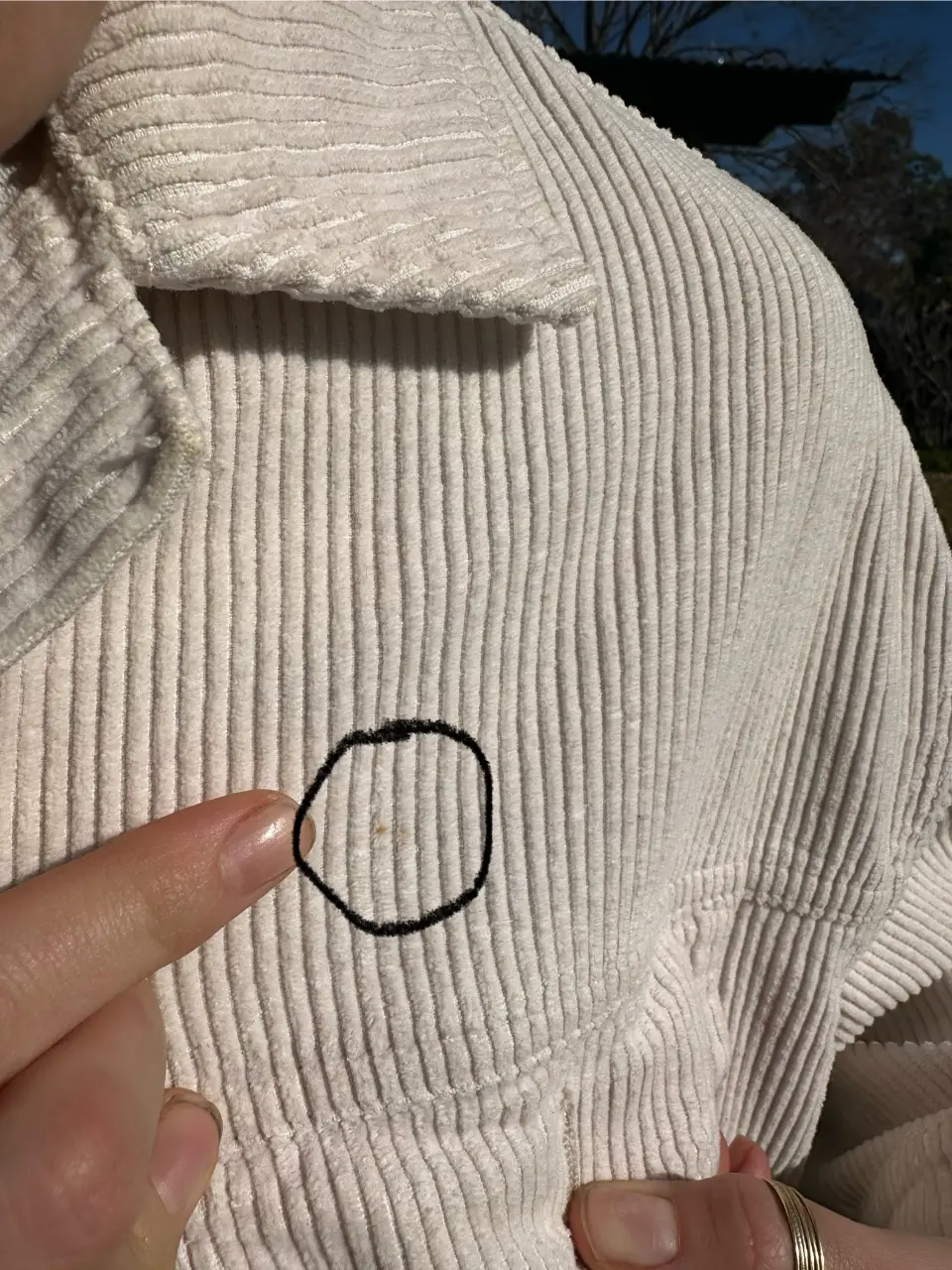Campera Zara - Vista 4