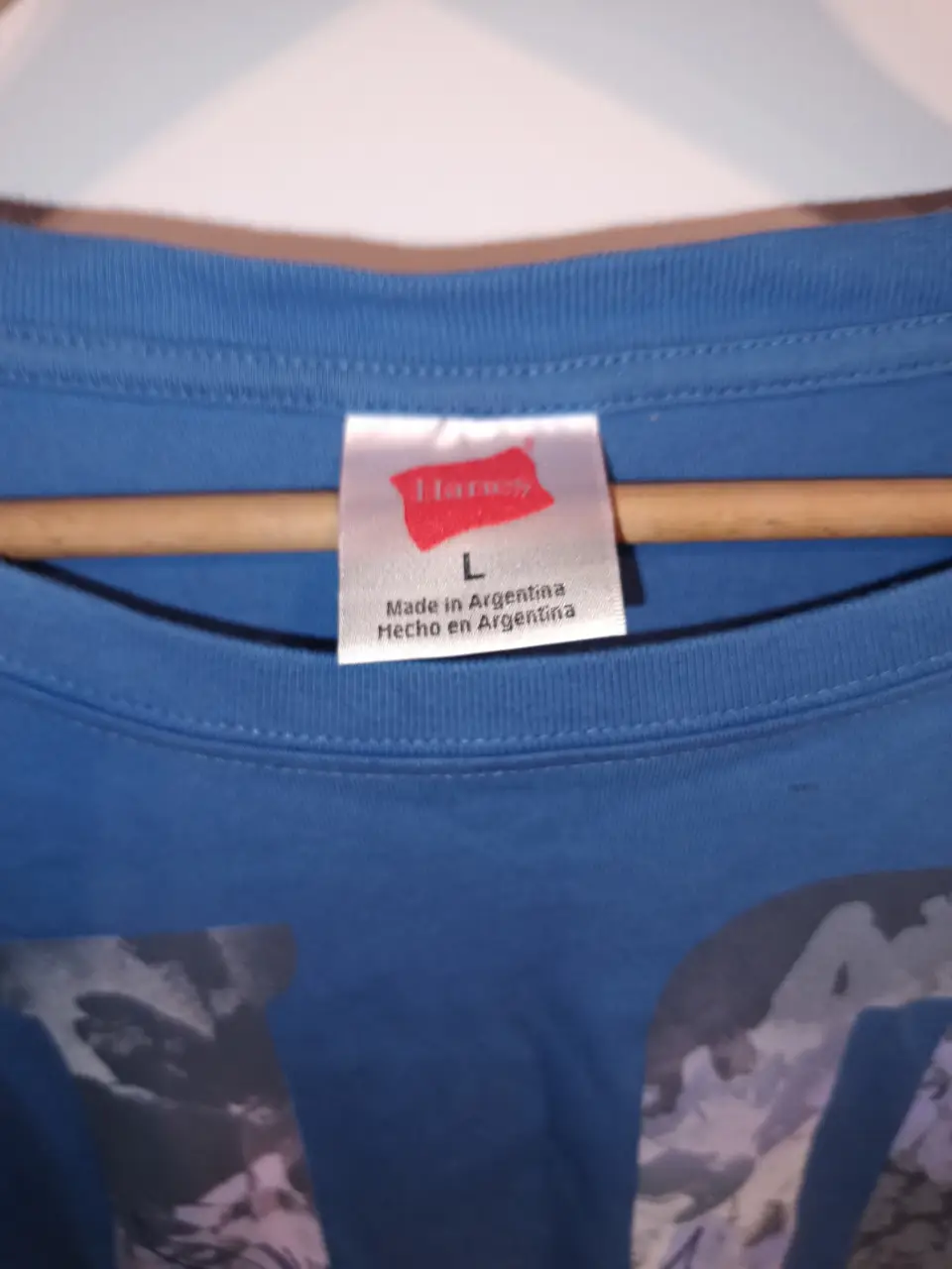Remera Hanes - Vista 4