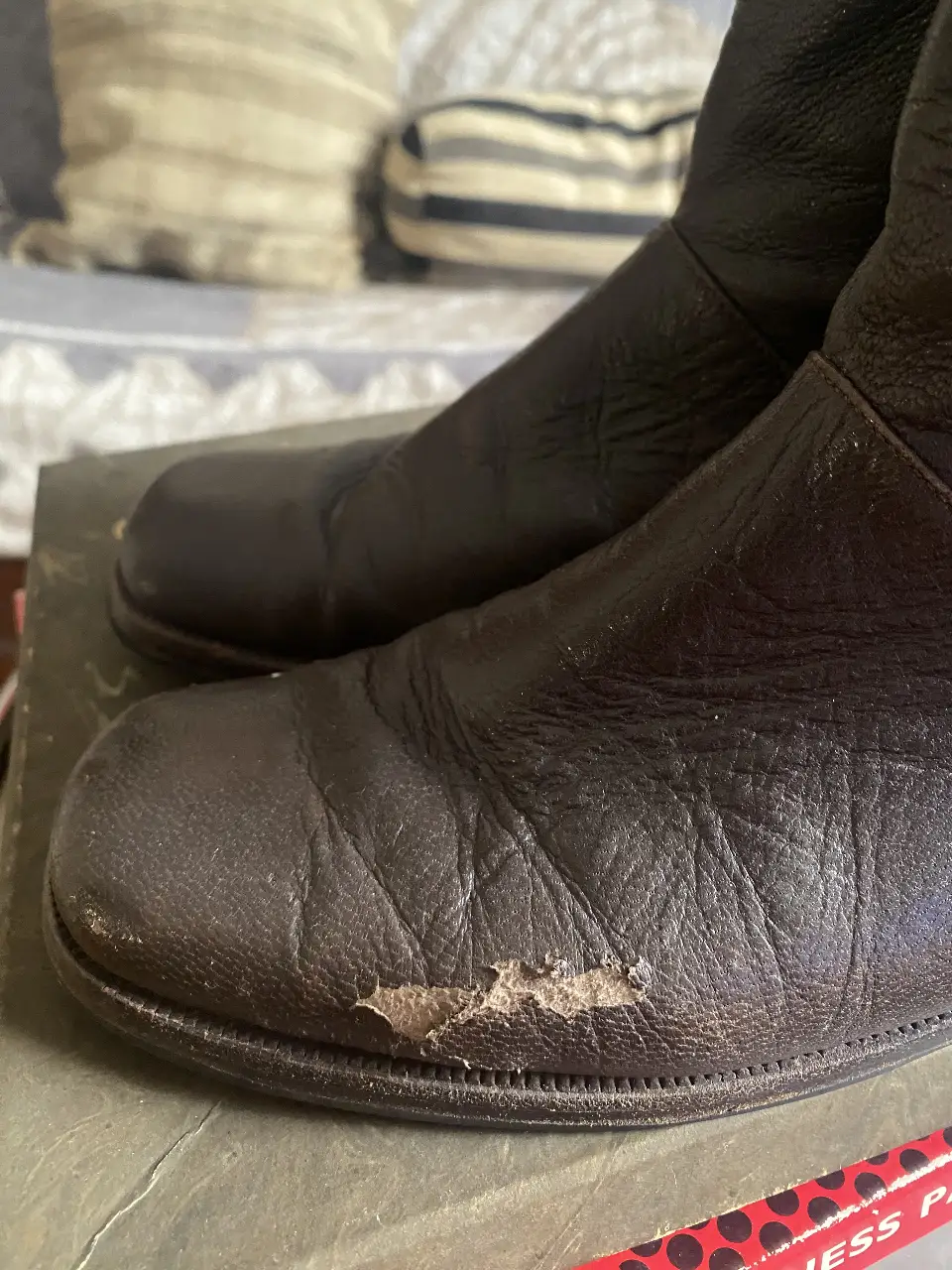 Botas Febo - Vista 5