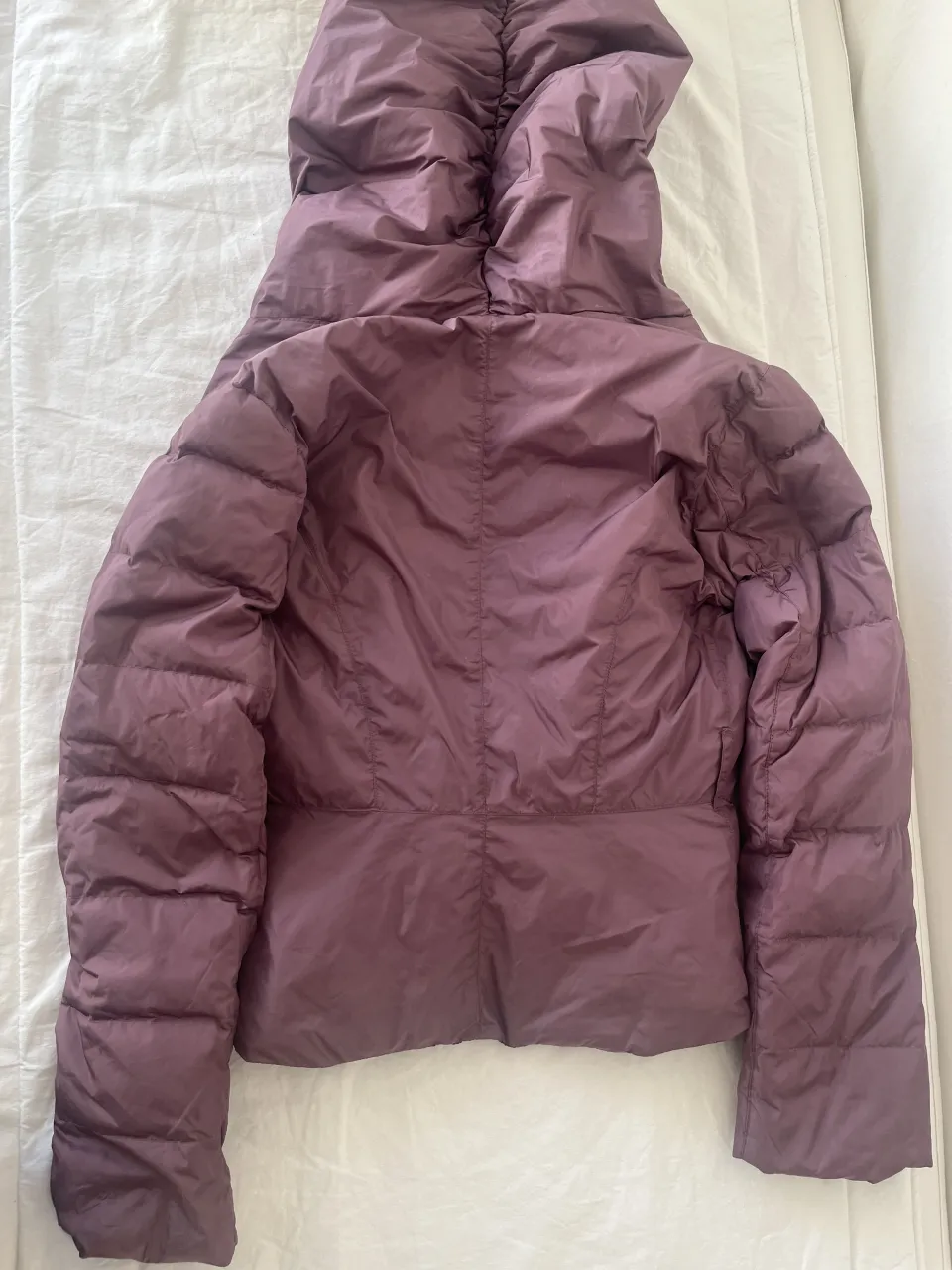 Campera Pinko - Vista 4