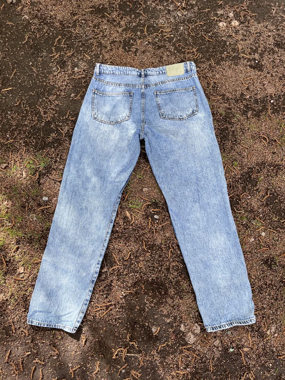 Jean Foster - Vista 2