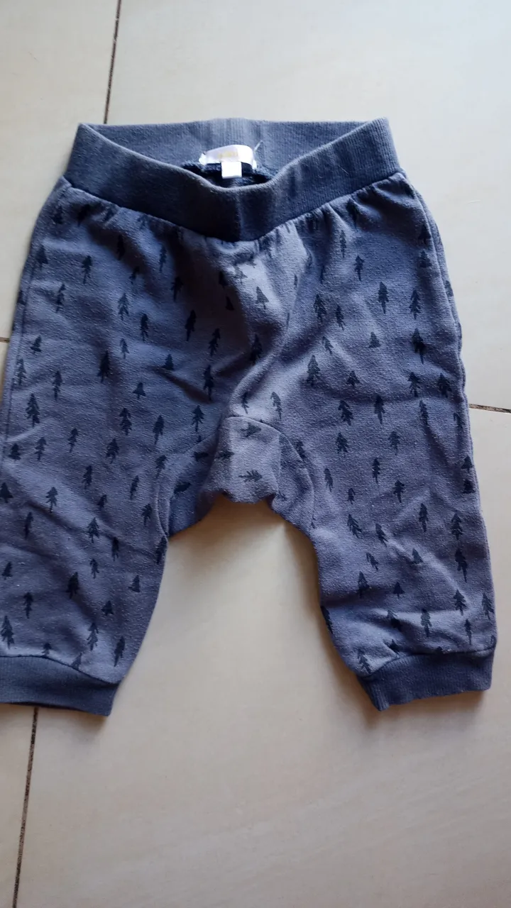 Pantalón babucha para bebé, de color azul con estampado de arbolitos. Ideal para un look cómodo y canchero.